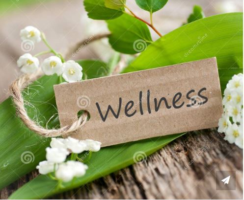 wellness